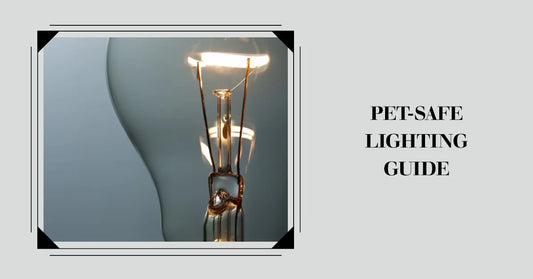 An Overview of Pet-Safe Lighting Options