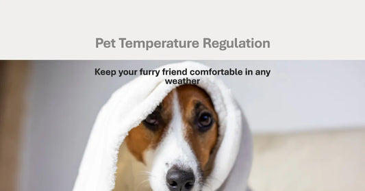 Introduction to Pet Temperature Regulation