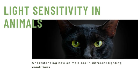 Illuminating the Mystery: Light Sensitivity in Animals