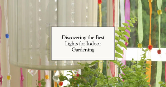 Discovering the Best Lights for Indoor Gardening