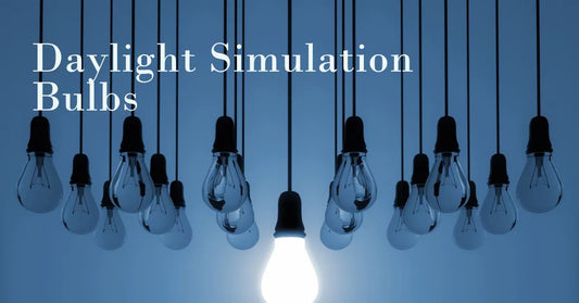 Daylight Simulation Bulbs: Enhance Your Home Lighting with the Perfect Light Fixture