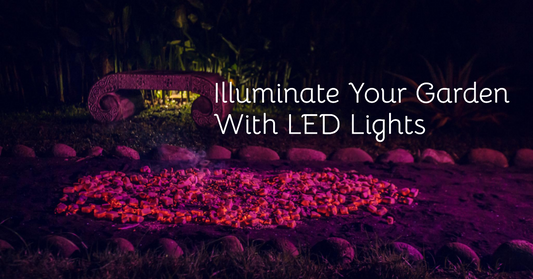 Budget-Friendly LED Landscape Lighting: A Strategy for Sustainable and Stylish Outdoor Illumination
