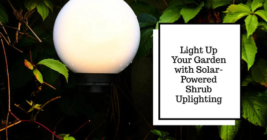 Illuminate Your Garden with Solar-Powered Shrub Uplighting
