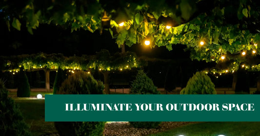 Illuminating Spaces with Low Voltage Landscape Spotlights