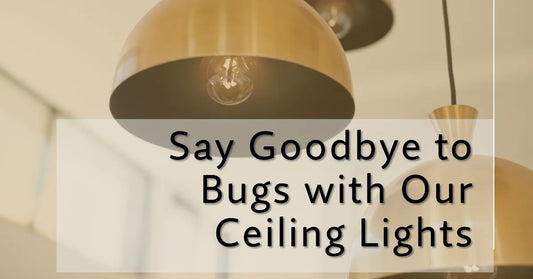 The Rising Demand for Bug-Resistant Ceiling Lights