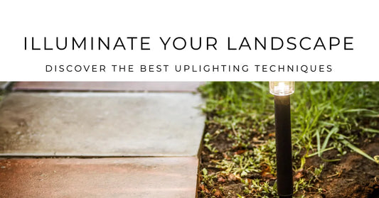Unlock the Magic of Your Yard with the Right Outdoor Lights: Exploring Landscape Uplighting Techniques