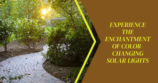 Discovering the Magic of Color-changing Solar Lights