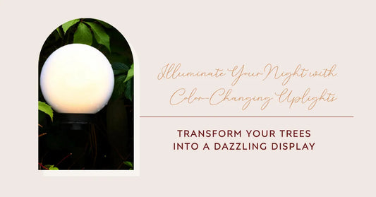 Lighting up the Night with Color-Changing Uplights for Trees