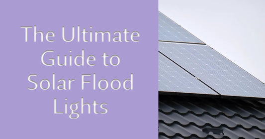 A Comprehensive Guide to Buying Solar Flood Lights
