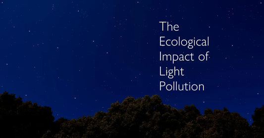The Ecological Impact of Light Pollution