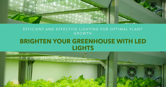LED Lighting for Greenhouses: Ignite Horticulture Growth With LED Lights