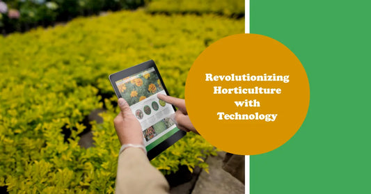 Harnessing the Power of Horticulture Technology: The Role of LED Lights