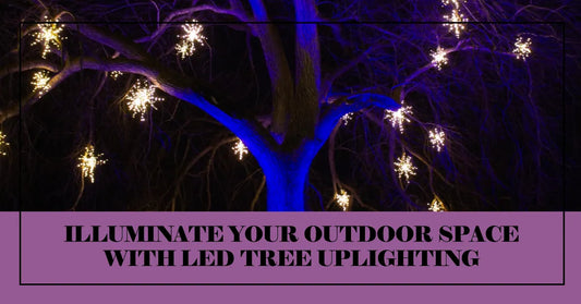Enhance Your Outdoor Ambiance with LED Tree Uplighting