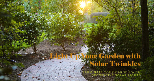 Bring in the Twinkle: Decorative Solar Lights for Gardens