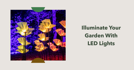 Shedding Light on Exterior LED Lighting for Landscaping