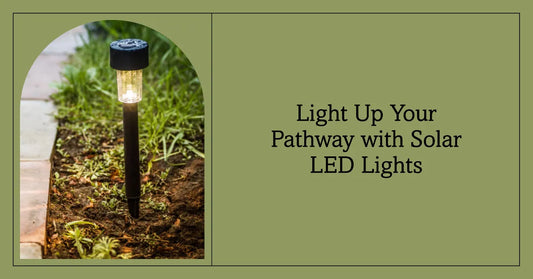 Illuminate Your Path with Solar LED Pathway Lights