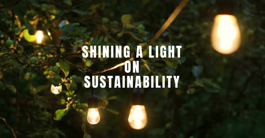 Unveiling the Impact of Sustainable LED Lighting