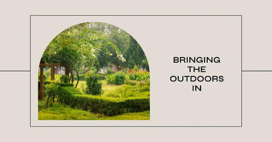 Enhancing Outdoor Spaces: Illuminating Gardens with LED Lights