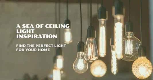 Shells and Coral Light Designs: A Sea of Ceiling Light Inspiration - Querencian