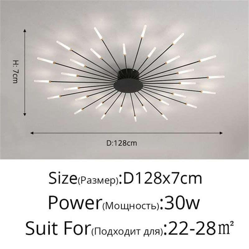 Firework Shape Ceiling Lamp New Aisle Light