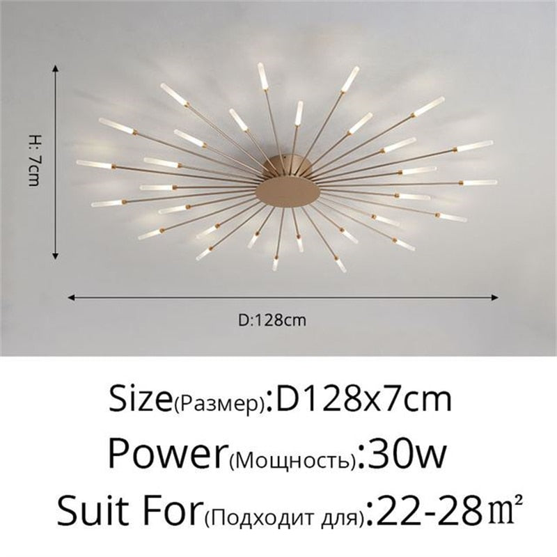 Firework Shape Ceiling Lamp New Aisle Light