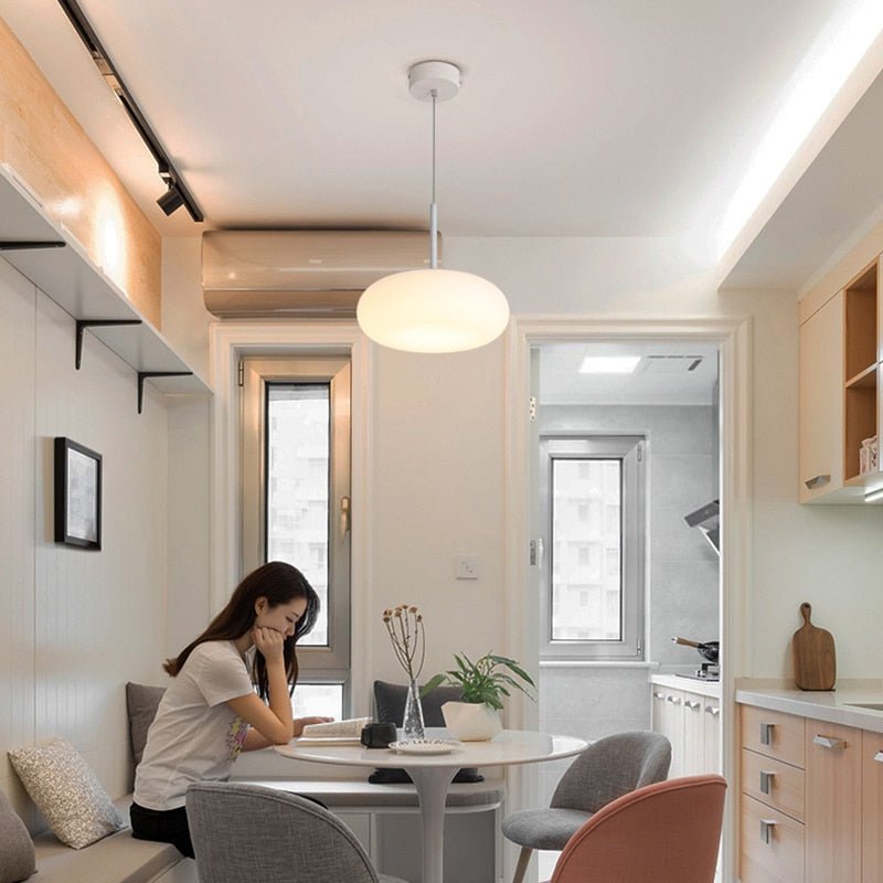 2022 Environmentally Friendly Ceiling Pendant Lamp Lighting - Querencian