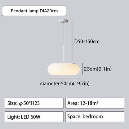 2022 Environmentally Friendly Ceiling Pendant Lamp Lighting - Querencian