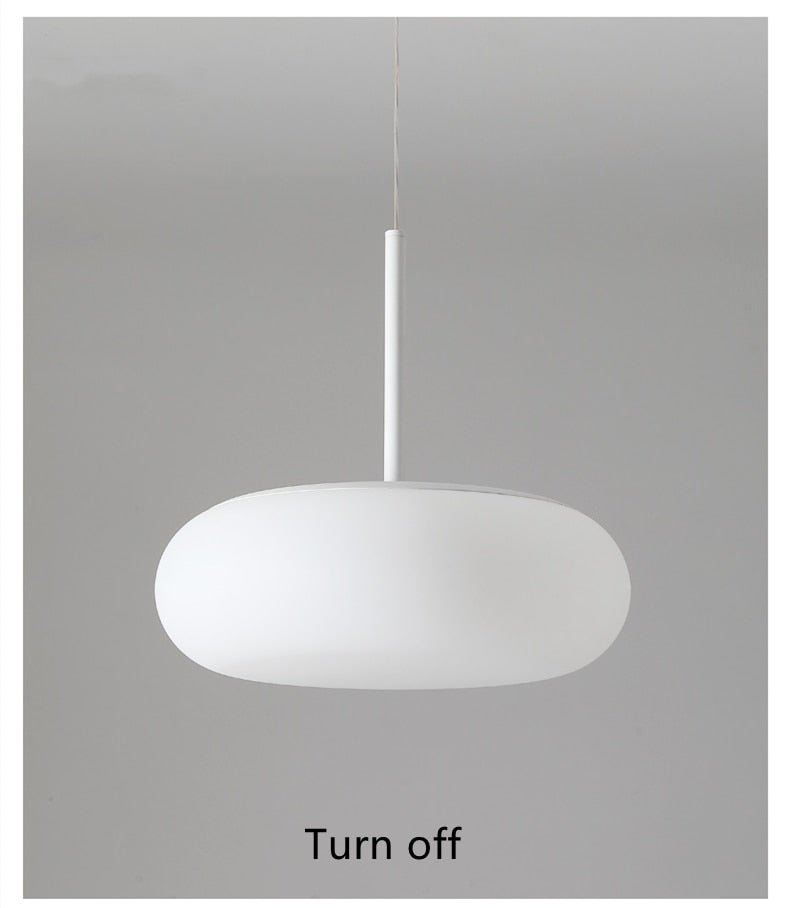2022 Environmentally Friendly Ceiling Pendant Lamp Lighting - Querencian