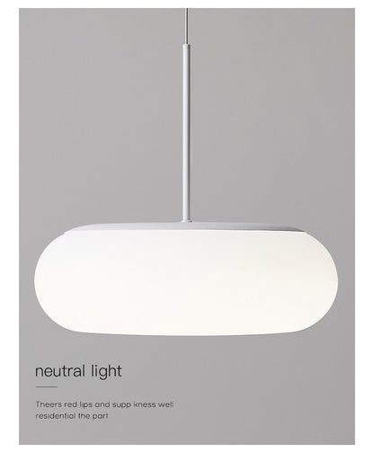 2022 Environmentally Friendly Ceiling Pendant Lamp Lighting - Querencian