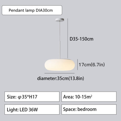 2022 Environmentally Friendly Ceiling Pendant Lamp Lighting - Querencian