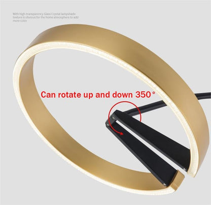 Aluminium Ring Modern LED Floor Lamps - Querencian