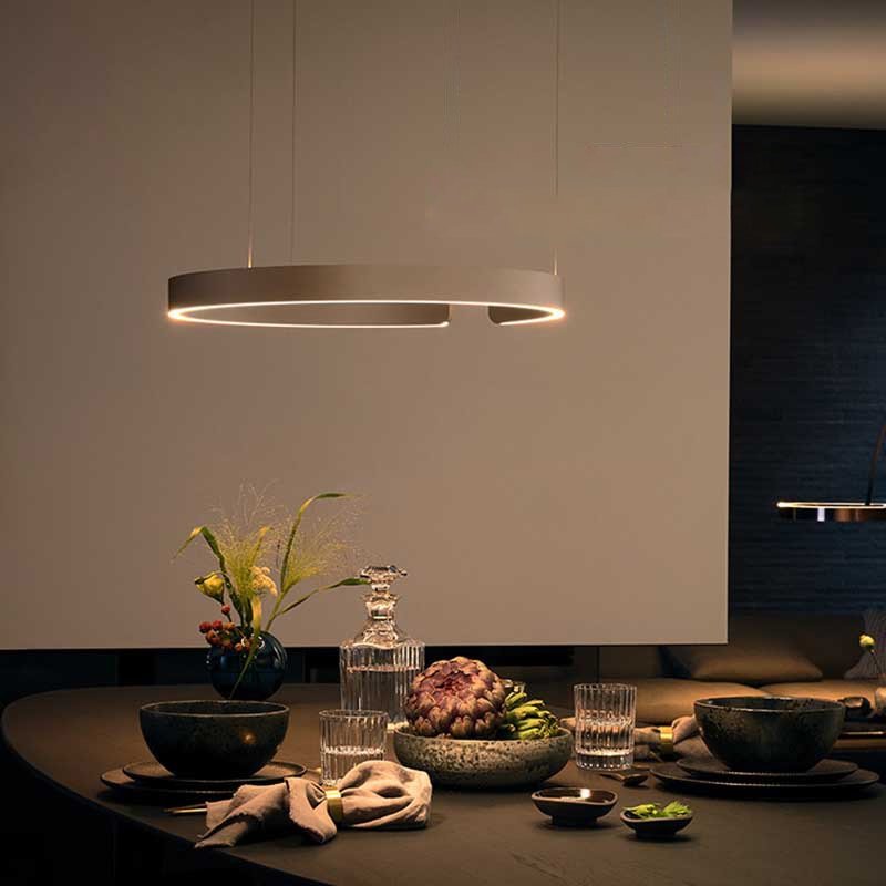 Modern Circle LED Decoration Pendant Light - Querencian