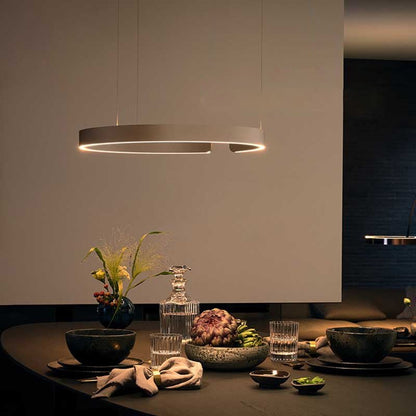 Modern Circle LED Decoration Pendant Light - Querencian