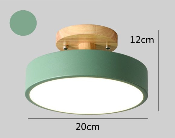 Surface Mounted LED Modern Ceiling Lights - Querencian