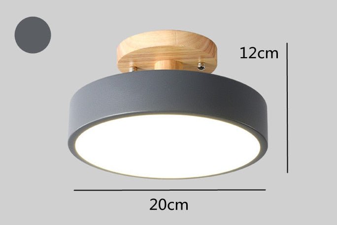 Surface Mounted LED Modern Ceiling Lights - Querencian
