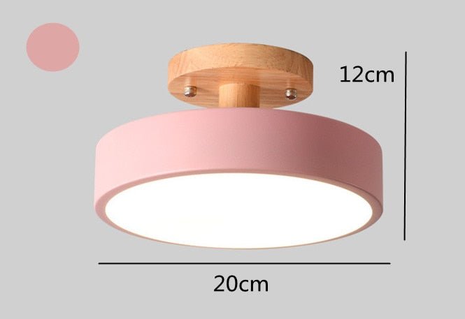Surface Mounted LED Modern Ceiling Lights - Querencian