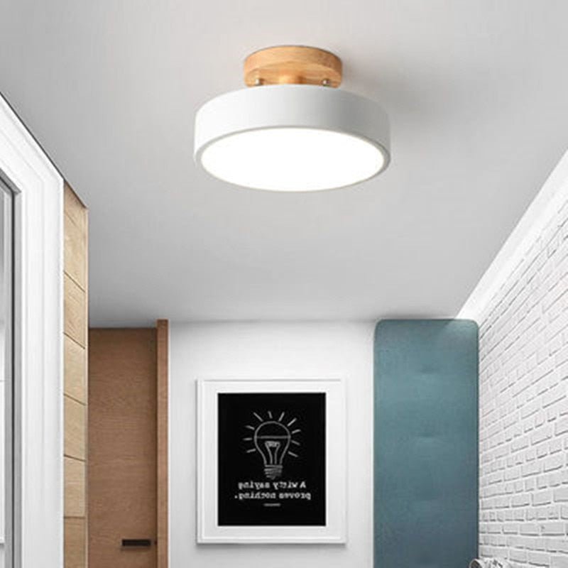 Surface Mounted LED Modern Ceiling Lights - Querencian