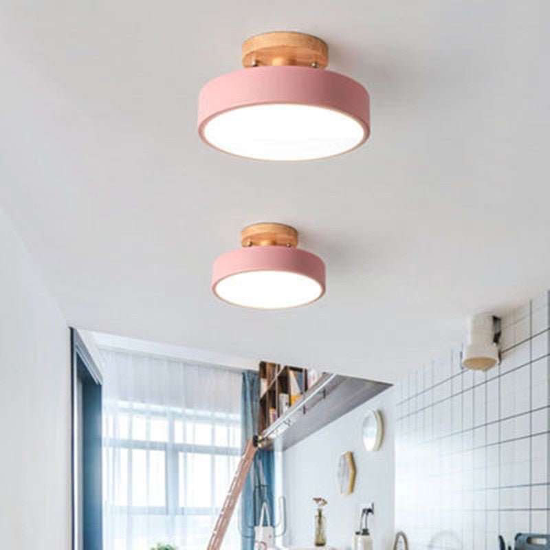 Surface Mounted LED Modern Ceiling Lights - Querencian