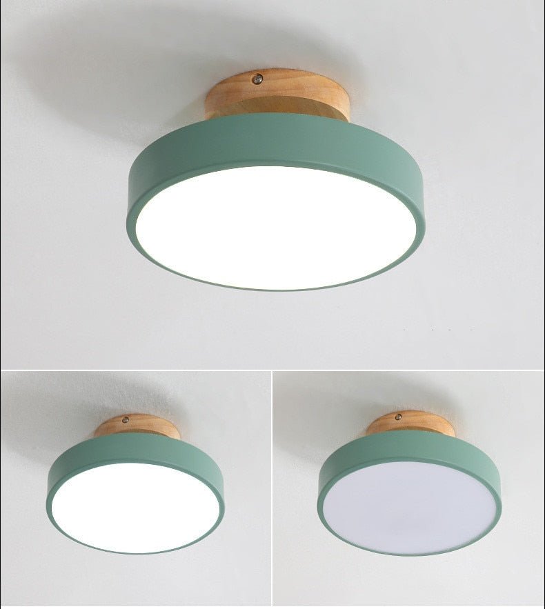 Surface Mounted LED Modern Ceiling Lights - Querencian