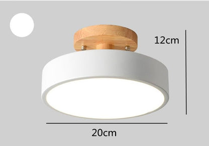 Surface Mounted LED Modern Ceiling Lights - Querencian